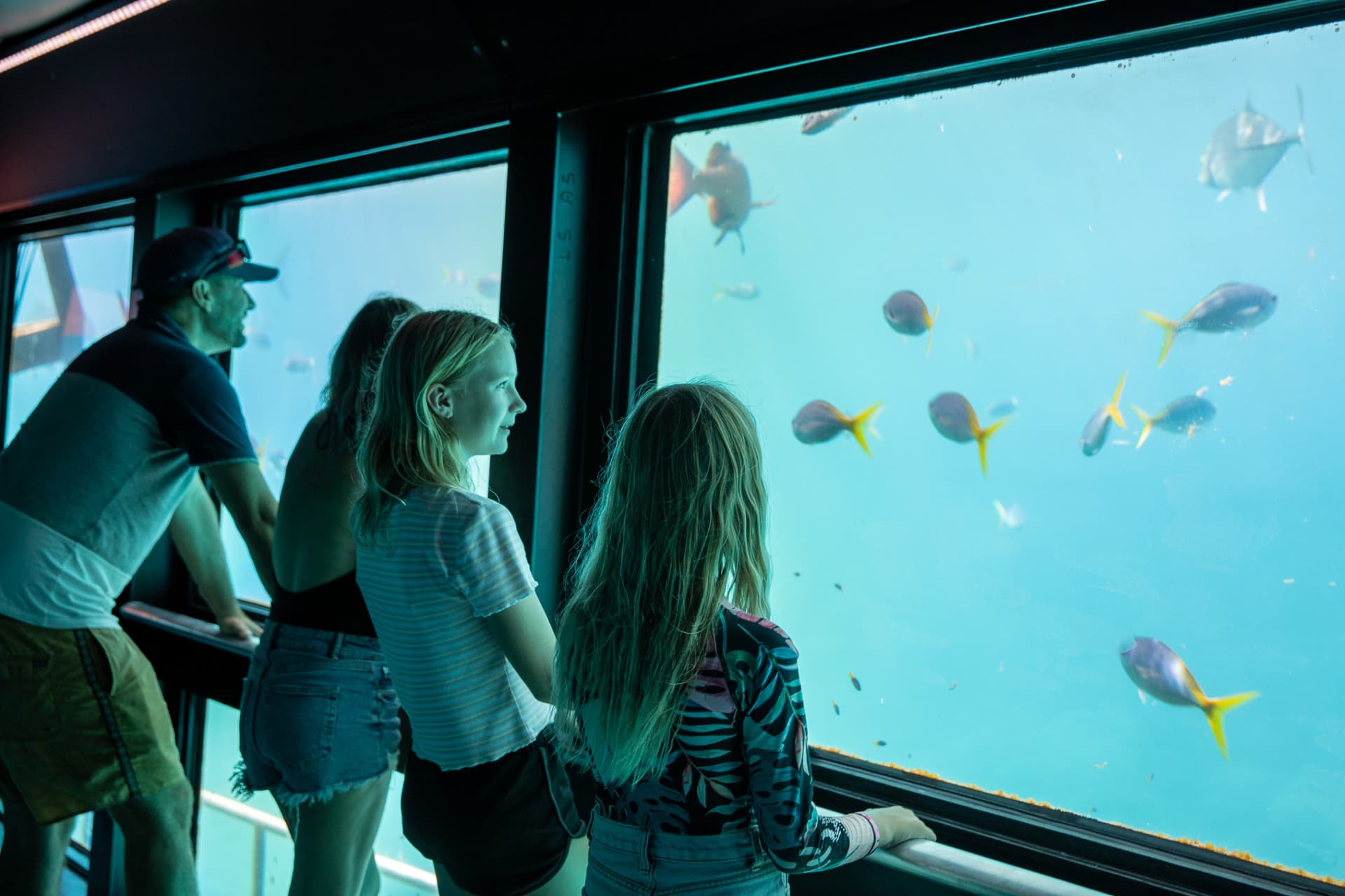 Great Barrier Reef Full-Day Pontoon Tour with Reef Magic from Cairns - image 3
